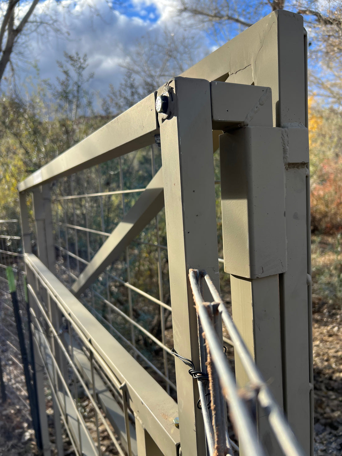 Locating and Trapping Wild Boar